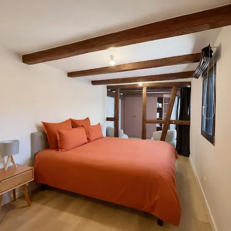 1807 - Alsace Of Yesterday & Today Holiday home *